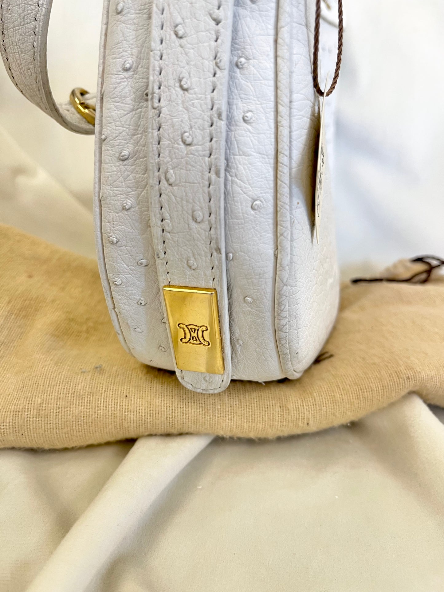 Celine Paris stručio odos rankinė