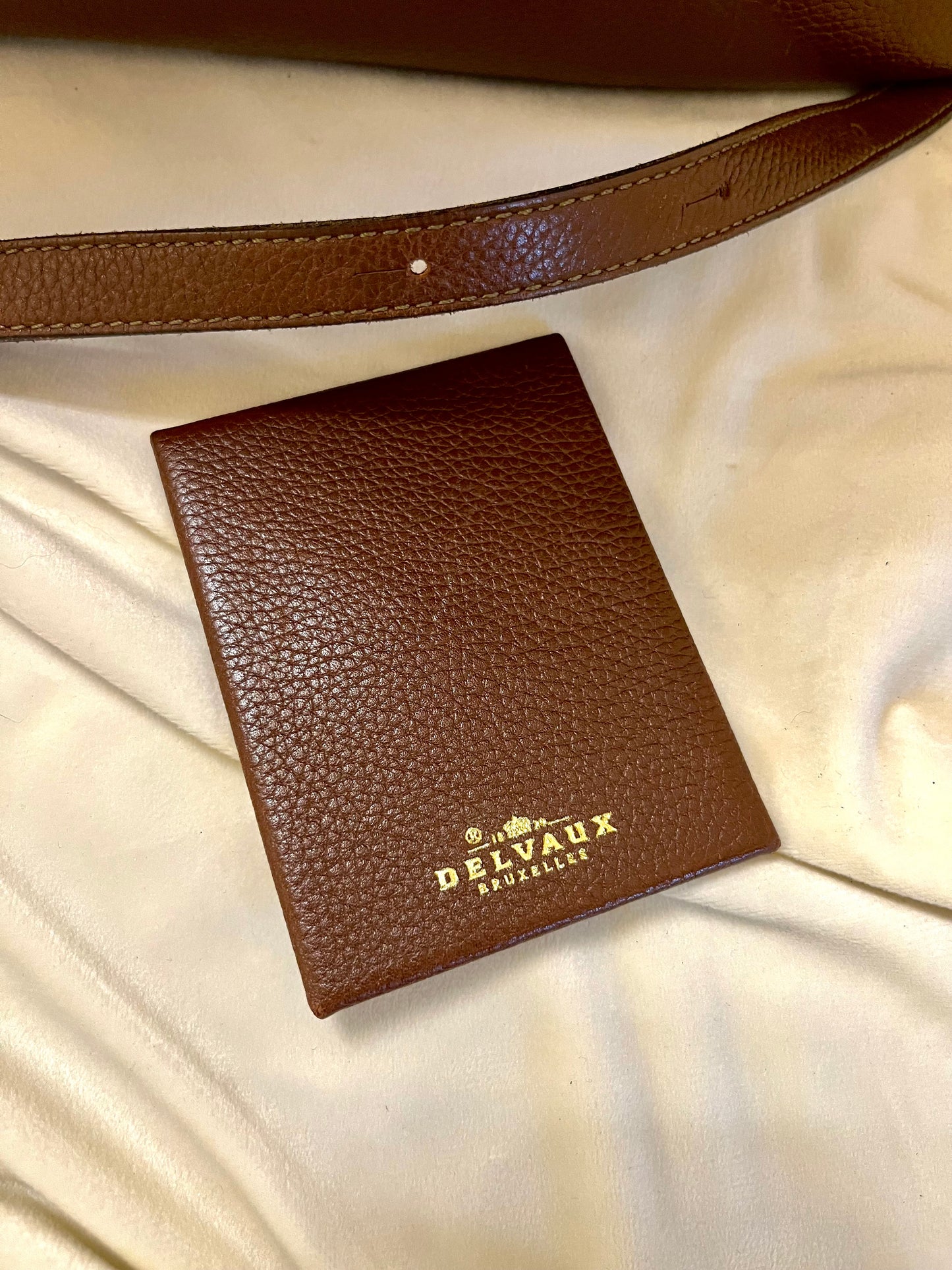 Delvaux „Mango GM“ natūralios odos rankinė