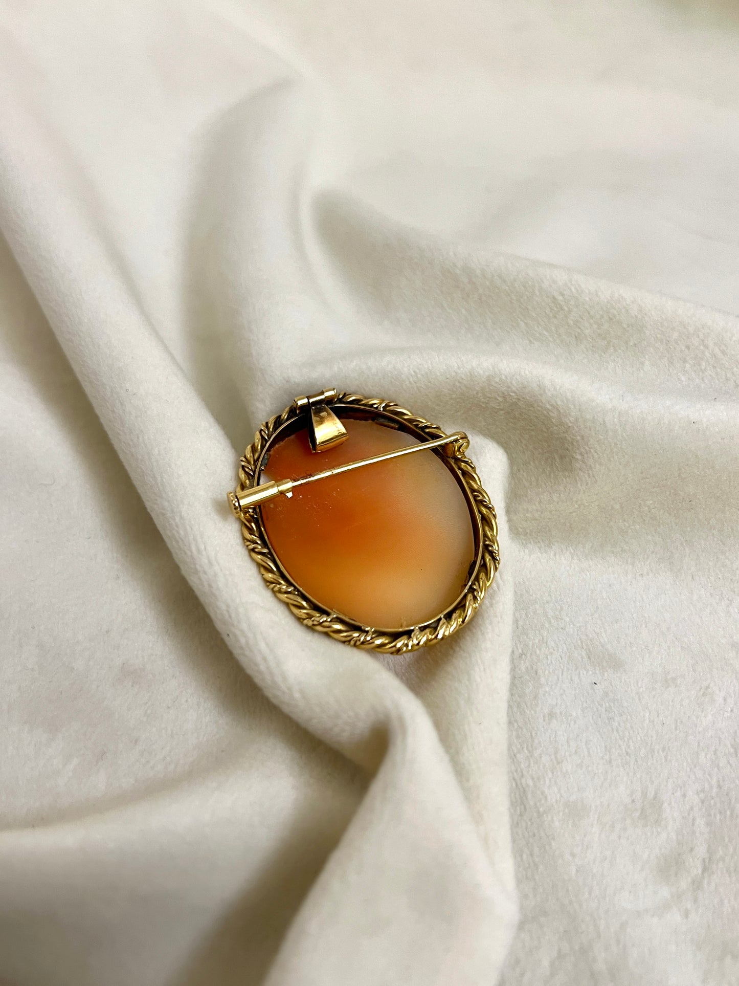 Auksinė kamėjos sagė/pakabukas