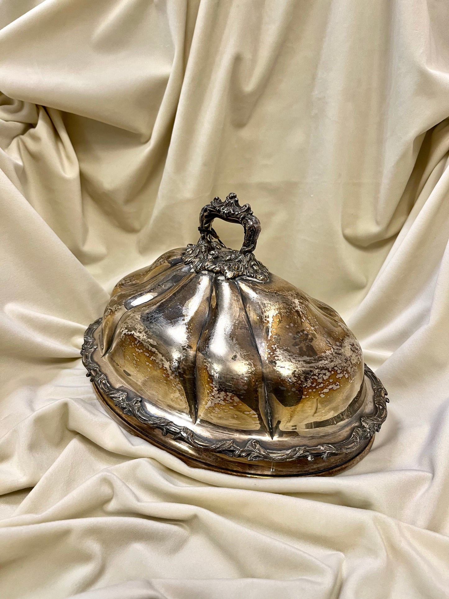 Sidabru dengtas patiekalų dangtis